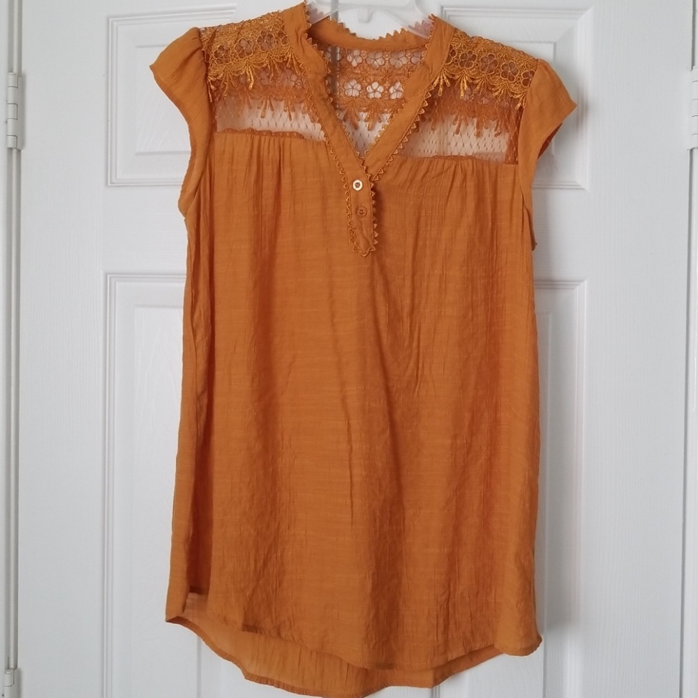 Golden Blouse with Sheer netting